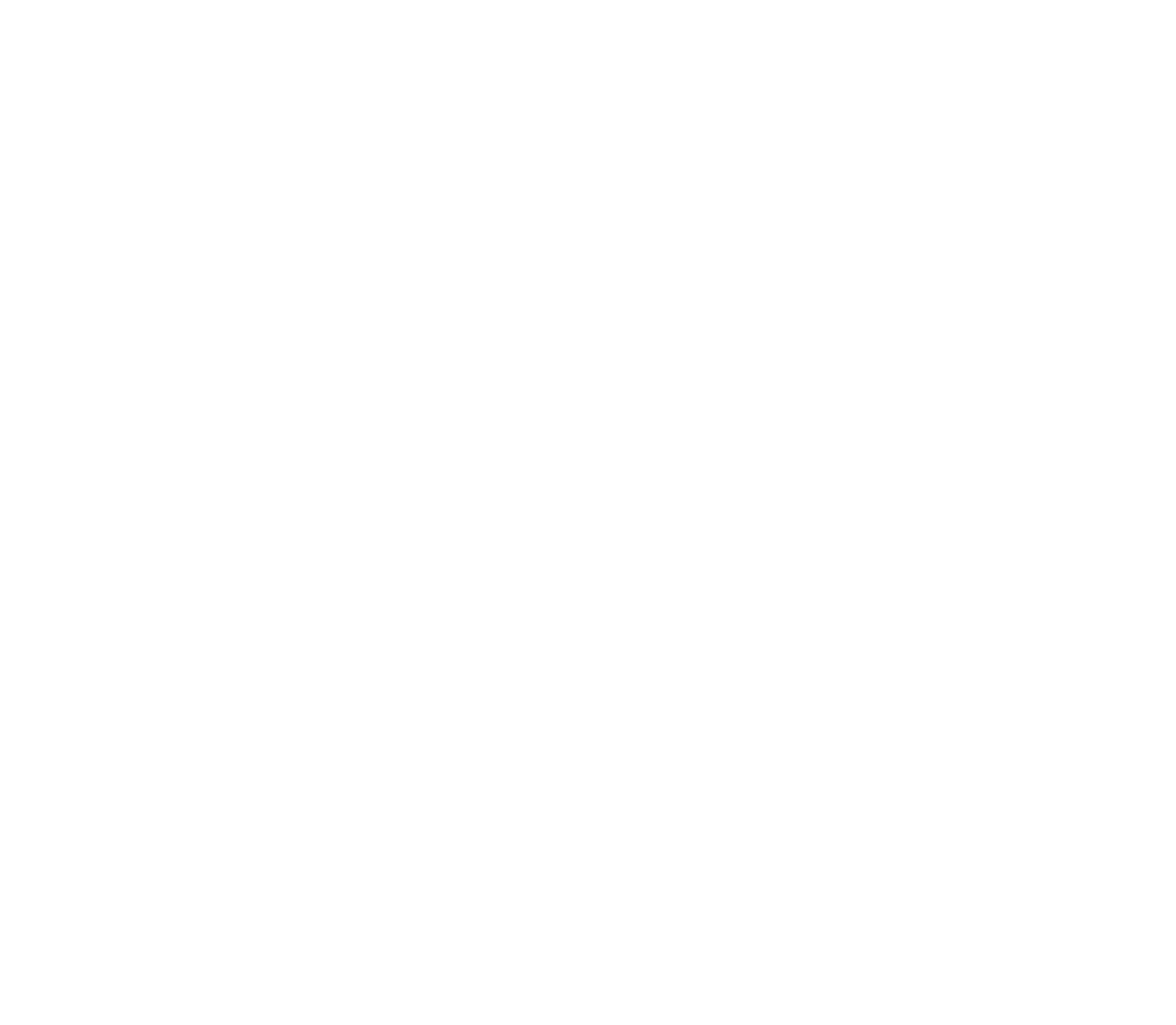 Turtle Logo
